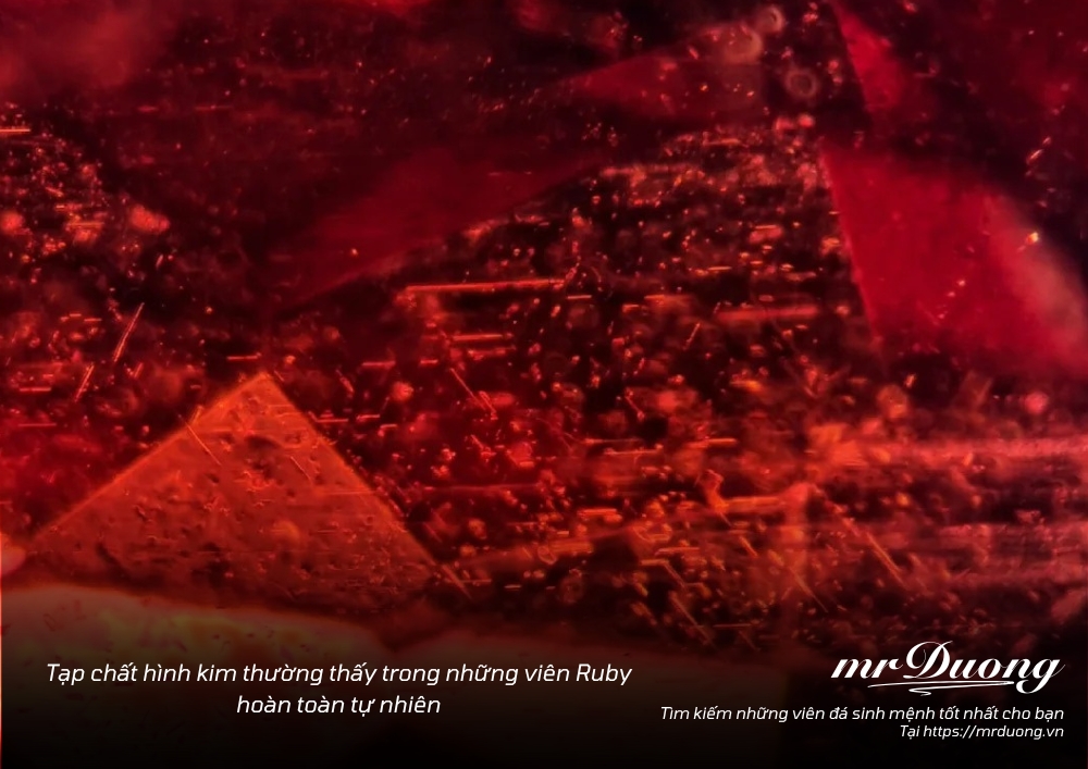 phan-biet-da-ruby-that-va-gia-giua-ton-hanh-gia-gia-ton-ngo-khong-10