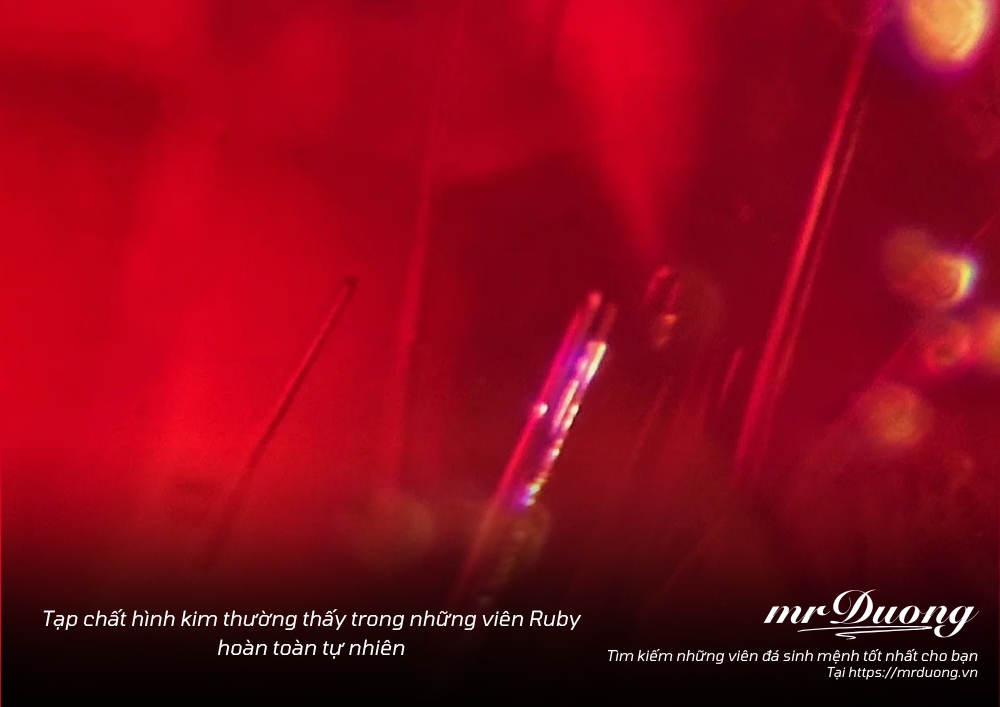 phan-biet-da-ruby-that-va-gia-giua-ton-hanh-gia-gia-ton-ngo-khong-11