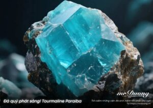 phan-loai-ho-hang-da-quy-ban-can-biet-araiba