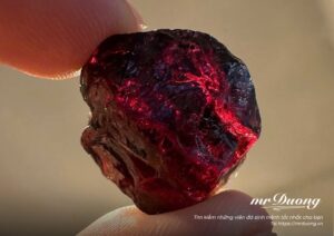 garnet-granat-vien-da-quy-duoc-menh-danh-la-hong-ngoc-luu-1