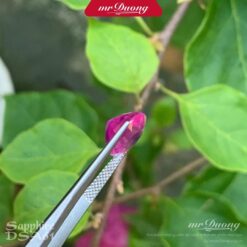 da-sapphire-tu-nhien-dsa61-cap-giay-chung-nhan-theo-yeu-cau