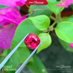 da-spinel-do-ds3095-1