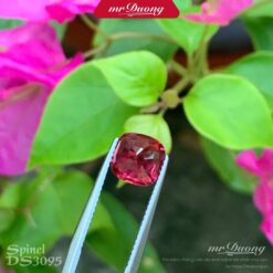 da-spinel-do-ds3095-2
