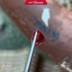 da-spinel-do-ds3095-5