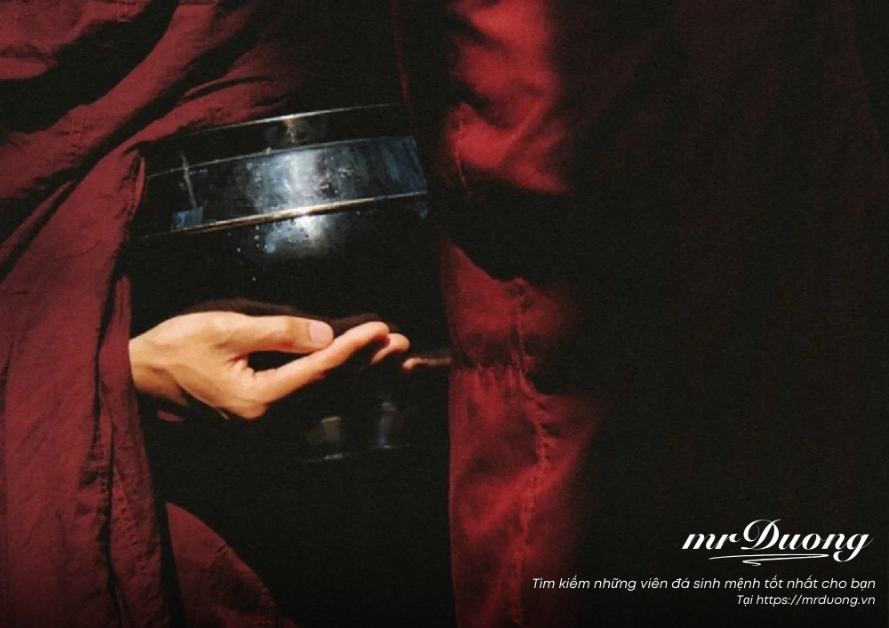 nha-su-co-duoc-an-thit-khong-3