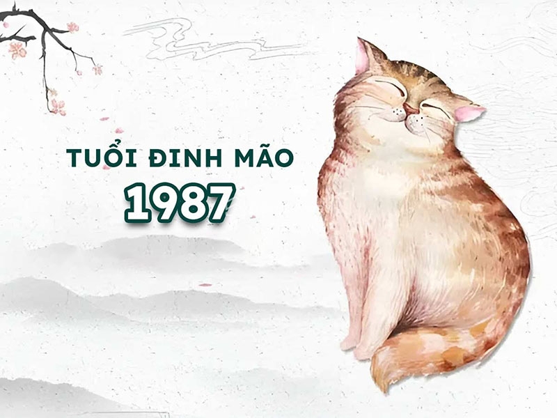 Tử vi tuổi Đinh Mão 1987 năm 2026 – vận mệnh, sự nghiệp, tình duyên và phong thủy hợp tuổi