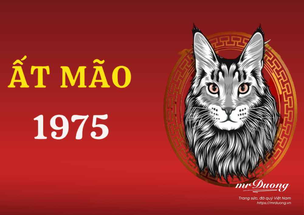 Tuổi 1975 – Ất Mão: Cuộc đời như một bản nhạc, càng về sau càng thấm