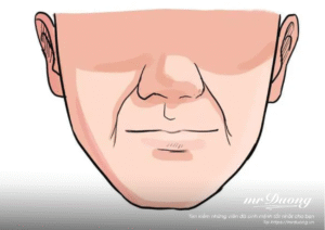 đường pháp lệnh