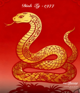 Đinh Tỵ 1977 – Cẩm nang vận mệnh năm 2026.