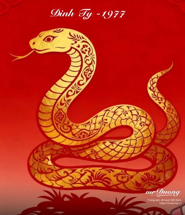 Đinh Tỵ 1977 – Cẩm nang vận mệnh năm 2026.