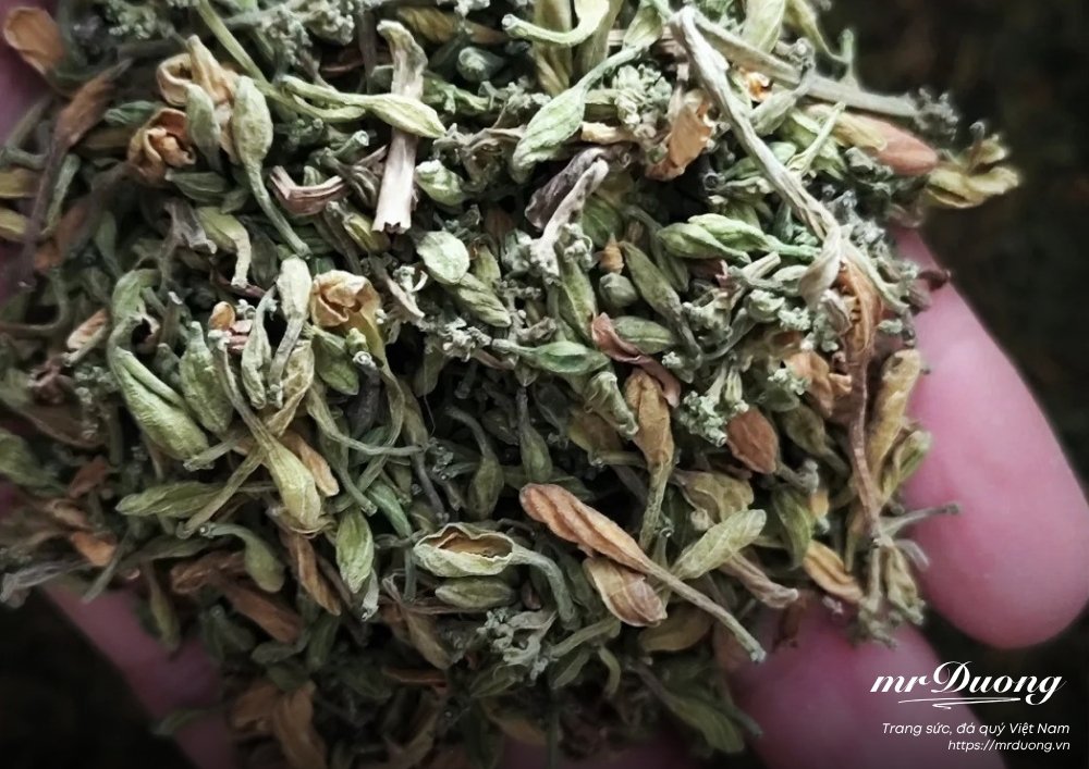 hoa-du-du-vi-thuoc-dan-gian-thuoc-dang-da-tat-2