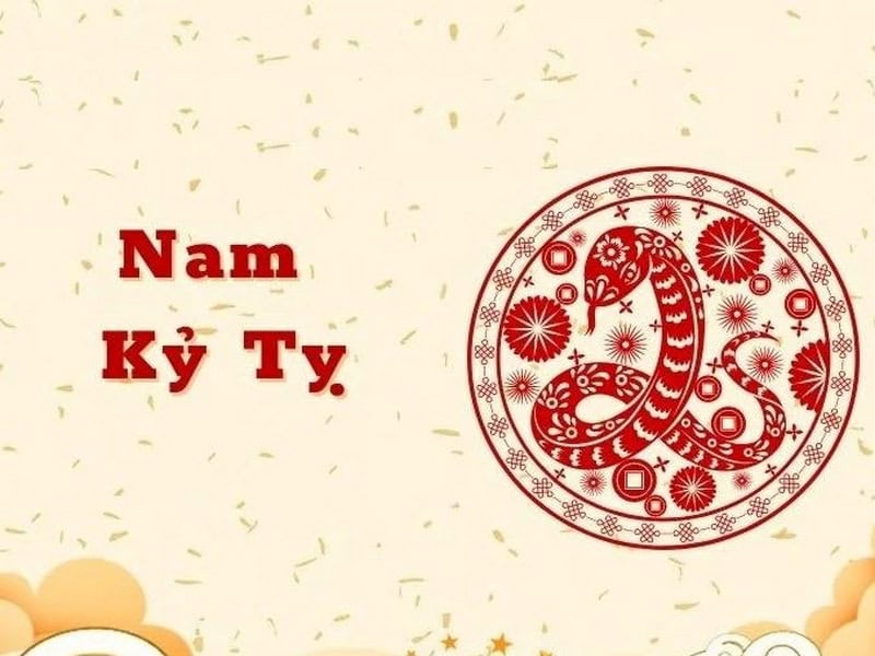 Nam Kỷ Tỵ năm 2026 sẽ như thế nào ?