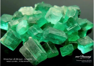 loai-dau-duoc-su-dung-de-ngam-da-quy-ngoc-luc-bao-la-gi