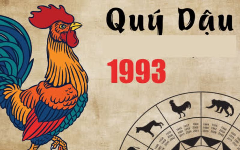 Tử vi tuổi Quý Dậu 1993 năm 2026