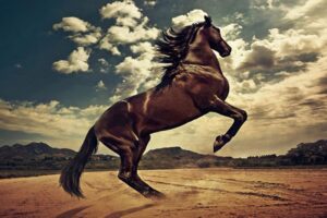 Chiêm nghiệm cuộc đời tuổi Canh Ngọ 1990 – Hành trình của những kẻ “đi nhanh hơn thời đại”