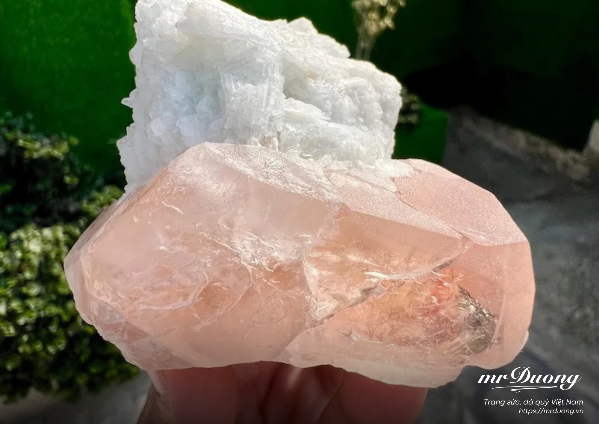 Morganite – Viên đá hồng đào quyến rũ.