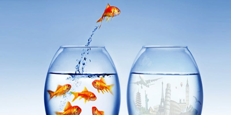 Cuộc sống sẽ thay đổi khi bạn dám bước ra khỏi vùng an toàn