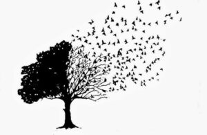 Đôi khi mất mát là cách cuộc đời dọn đường cho điều tốt hơn