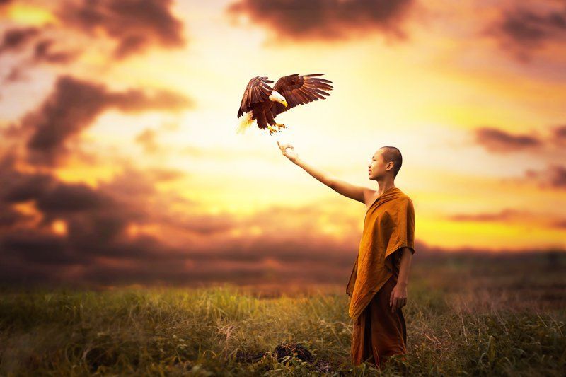 cứ đi rồi sẽ đến.