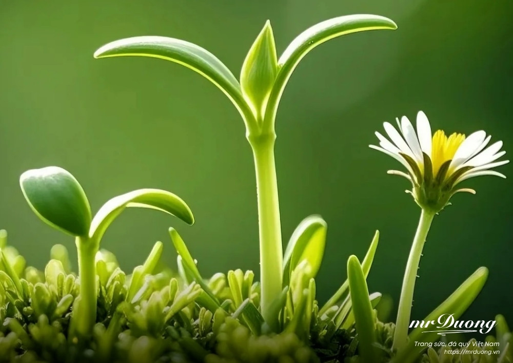 ban-den-the-gioi-nay-de-lam-gi