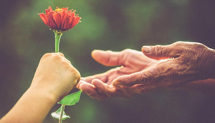 Điều bạn nghĩ sẽ quyết định điều bạn sống – Sự thật đơn giản mà cả đời mới hiểu