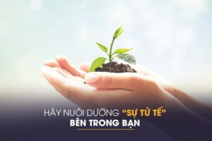 Sự tử tế không bao giờ thừa, chỉ đôi khi bị đặt nhầm chỗ