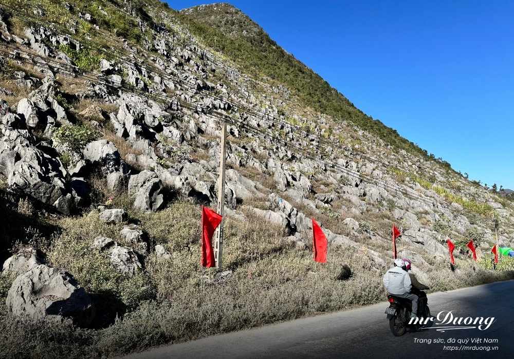 le-hoi-hoa-tam-giac-mach-le-hoi-cua-tinh-yeu-5