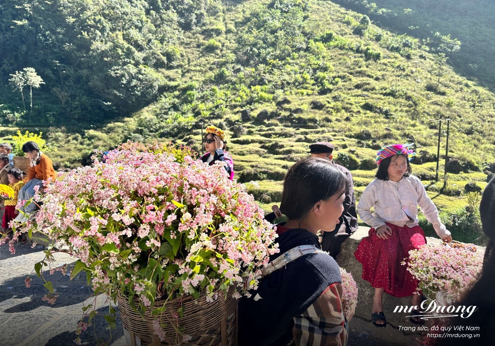 le-hoi-hoa-tam-giac-mach-le-hoi-cua-tinh-yeu