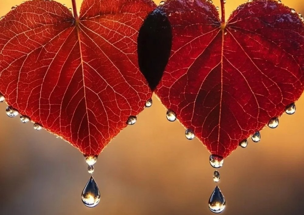 moi-quan-he-giua-ham-muon-tinh-duc-va-tuoi-tho