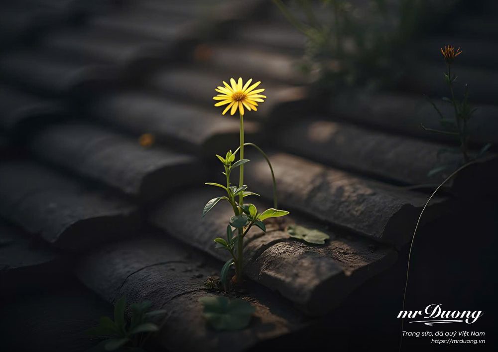 mot-mo-hinh-kinh-doanh-hap-dan-phu-thuoc-vao-5-yeu-to-quan-trong-sau-1