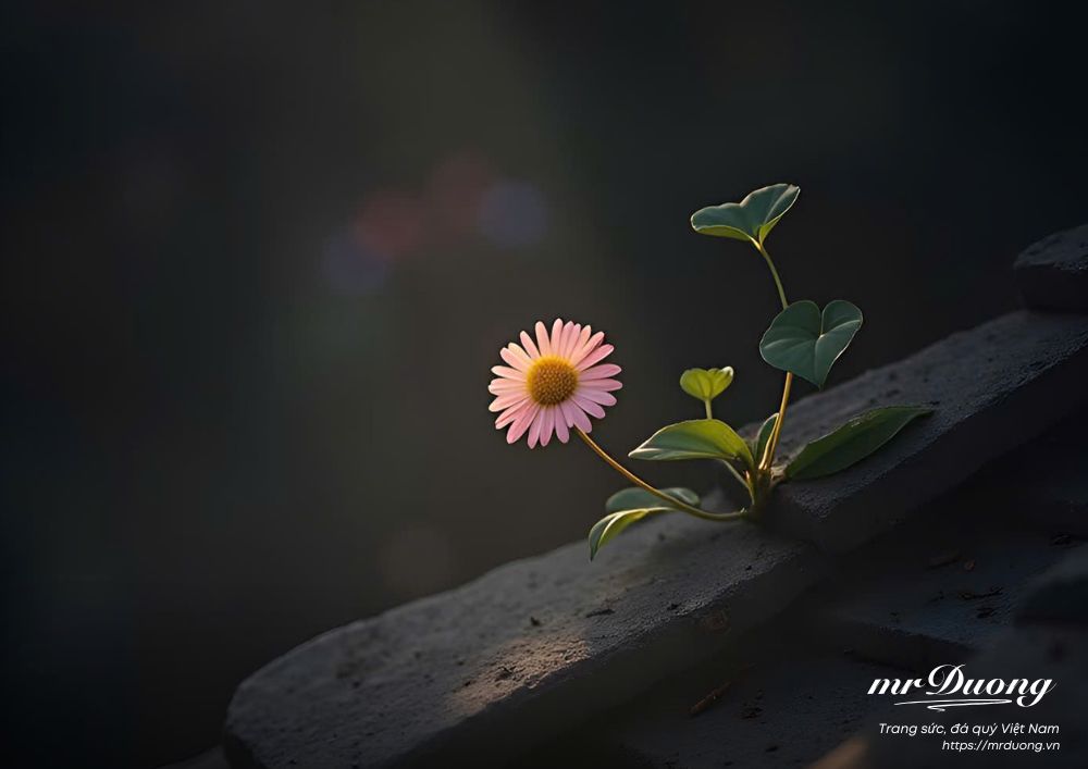 mot-mo-hinh-kinh-doanh-hap-dan-phu-thuoc-vao-5-yeu-to-quan-trong-sau-3