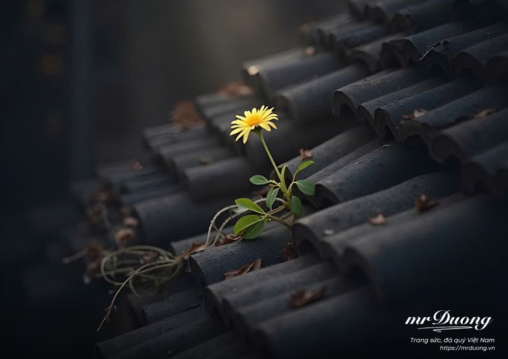 mot-mo-hinh-kinh-doanh-hap-dan-phu-thuoc-vao-5-yeu-to-quan-trong-sau