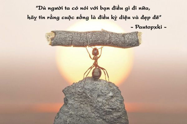Cố gắng không phải để hơn người khác, mà để hơn chính mình hôm qua. Hành trình phát triển bản thân tạo nên giá trị và thành công bền vững mỗi ngày.