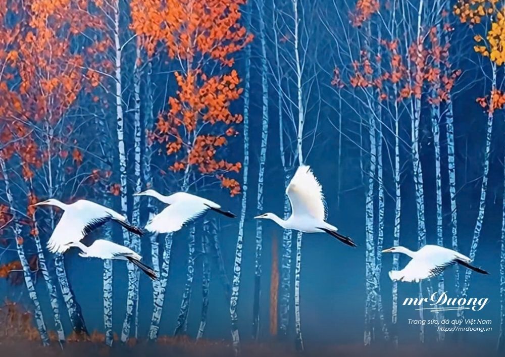 su-mau-thuan-noi-bo-lon-nhat-trong-mot-cong-ty-chinh-la-tinh-trang-quan-ly-qua-muc-2