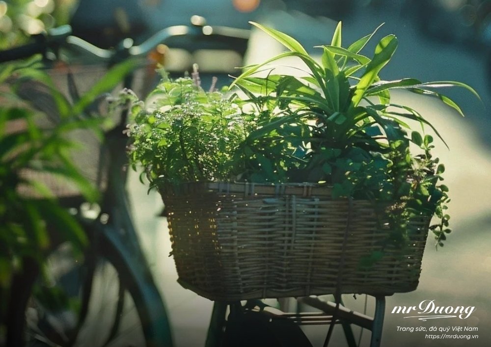 trong-thoi-dai-lo-lang-hay-la-nguoi-am-hieu-cuoc-song-hanh-phuc-1