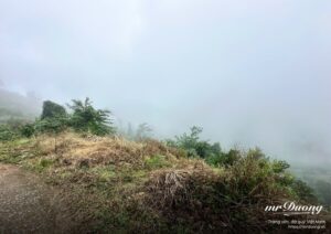 viet-cho-tuoi-40-moi-thu-moi-la-bat-dau-1