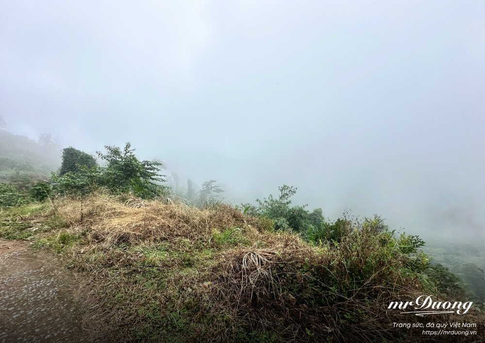 viet-cho-tuoi-40-moi-thu-moi-la-bat-dau-1