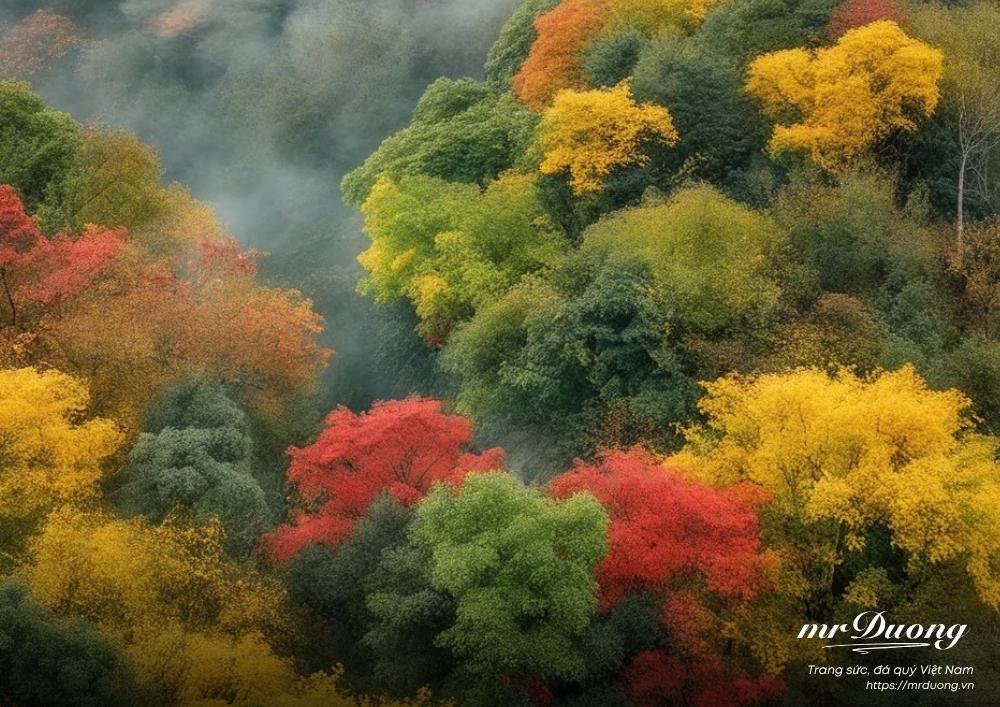 y-nghia-cua-cuoc-song-la-gi-1