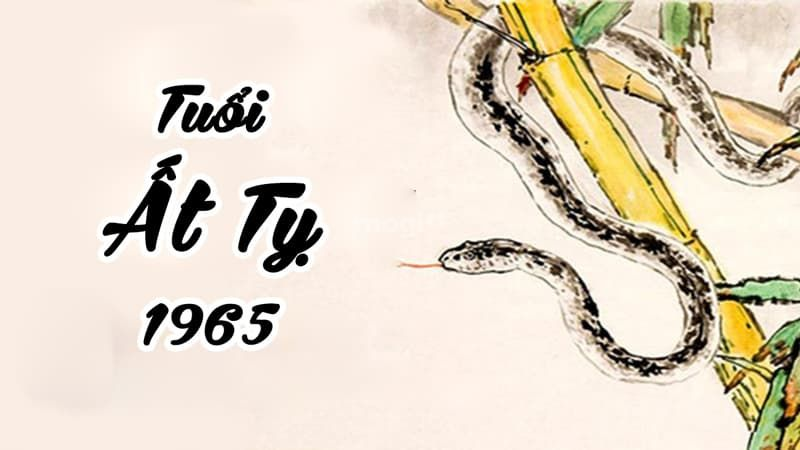 Gia chủ sinh năm 1965 xông đất tuổi nào đẹp năm 2026 để cả năm hanh thông, gia đạo yên ổn?