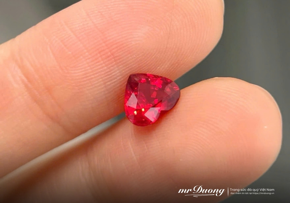 song-du-lau-ban-se-tin-vao-so-phan-so-phan-chinh-la-nhan-qua-cua-cuoc-doi