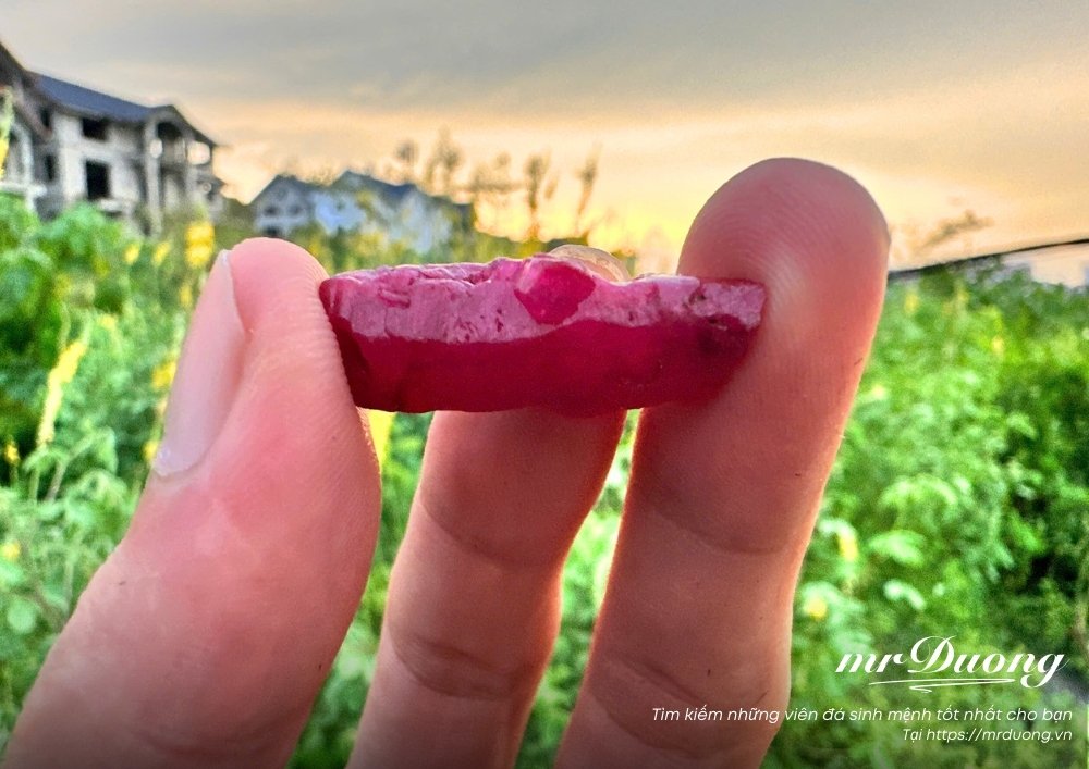 Tinh thể ruby răng chó được MrDuong gọi là đá chữa lành, giữ nguyên năng lượng tự nhiên, hỗ trợ phục hồi nội tâm và kích hoạt sinh lực bền vững cho người đang tổn thương sâu sắc