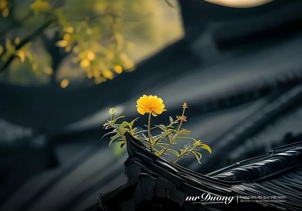 buoc-vao-tuoi-trung-nien-ban-moi-nhan-ra-rang-cuoc-song-von-di-vay-dung-qua-coi-trong-no