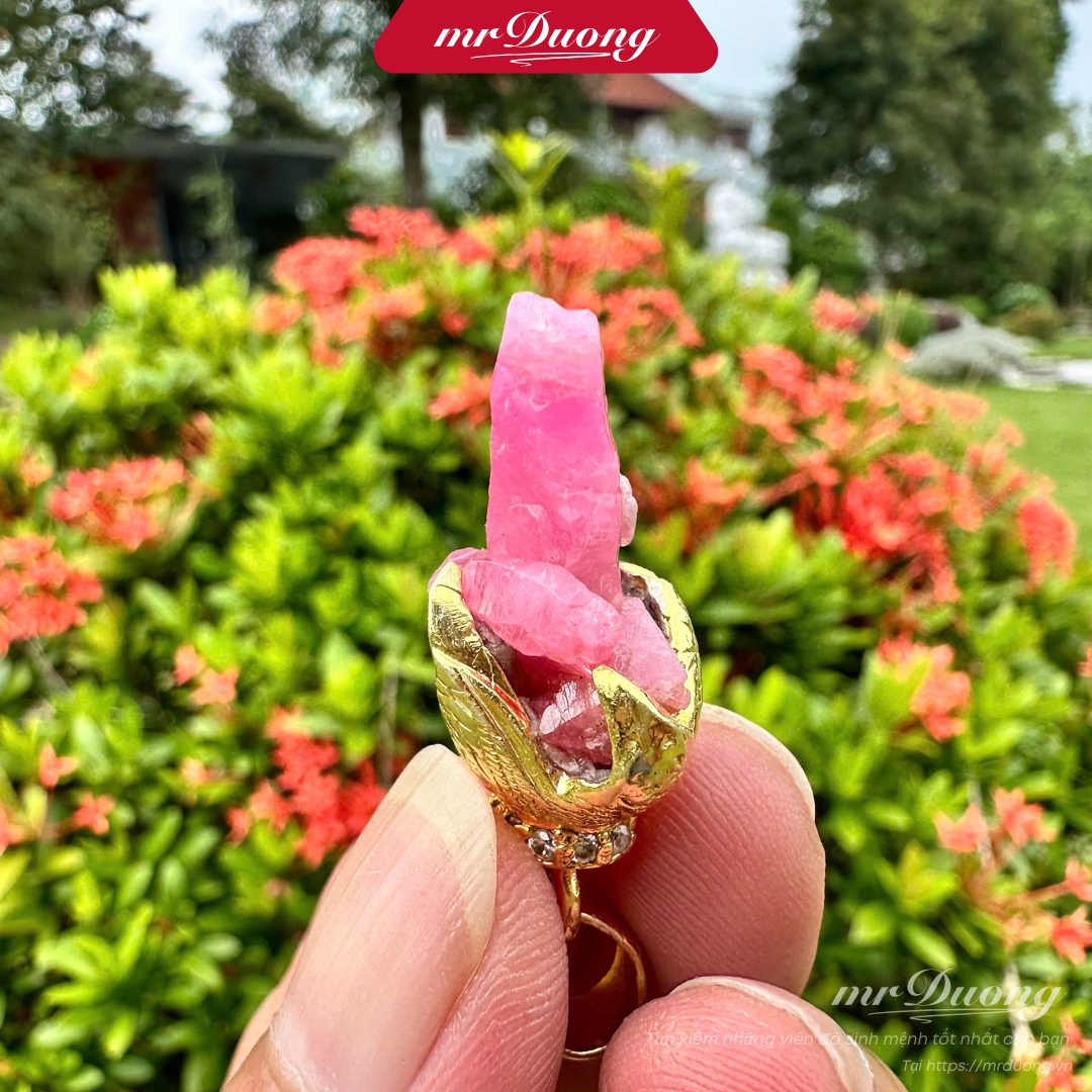 Tinh thể ruby răng chó được MrDuong gọi là đá chữa lành, giữ nguyên năng lượng tự nhiên, hỗ trợ phục hồi nội tâm và kích hoạt sinh lực bền vững cho người đang tổn thương sâu sắc
