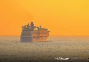 neu-ban-dang-di-dung-huong-hay-cu-tiep-tuc-buoc-toi-va-hay-de-thoi-gian-lo-phan-viec-con-lai