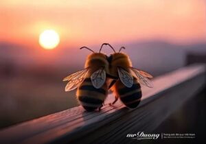 nhung-nha-dau-tu-thuc-thu-khong-nhin-vao-doi-ngu-ho-chi-nhin-vao-nguoi-lanh-dao