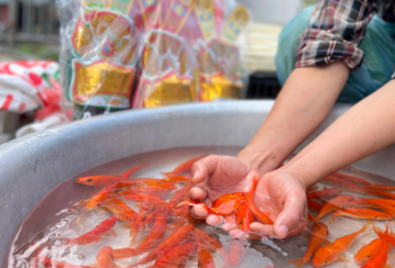 Ngày 23 tháng Chạp mở đầu cho không khí chuẩn bị Tết cổ truyền