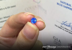 gia-cua-da-quy-la-bao-nhieu-3