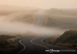 hieu-duoc-4-dinh-menh-nay-cua-so-phan-co-le-se-an-nhien