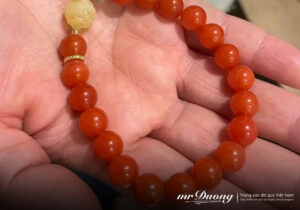 khoa-hoc-da-quy-hieu-ro-su-khac-biet-giua-da-ma-nao-do-mien-nam-va-da-ma-nao-thong-thuong-chi-qua-mot-hinh-anh-3