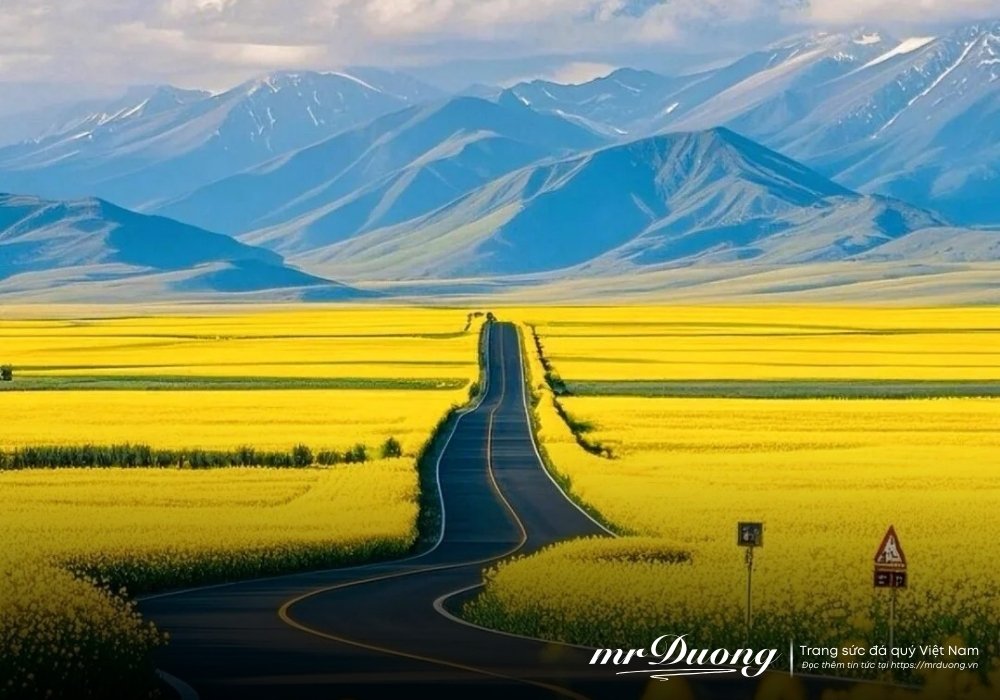 kiem-tien-thuc-ra-rat-don-gian-hay-hoc-mot-ky-nang-ma-ban-co-the-su-dung-suot-doi